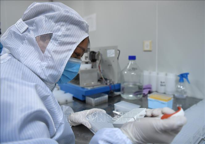 Trong ảnh: Nghiên cứu nhằm chế tạo dụng cụ phát hiện nhanh virus SARS-CoV-2 gây dịch COVID-19 tại phòng thí nghiệm của Công ty công nghệ sinh học ở Lạc Dương, tỉnh Hà Nam, Trung Quốc. Ảnh: THX/TTXVN