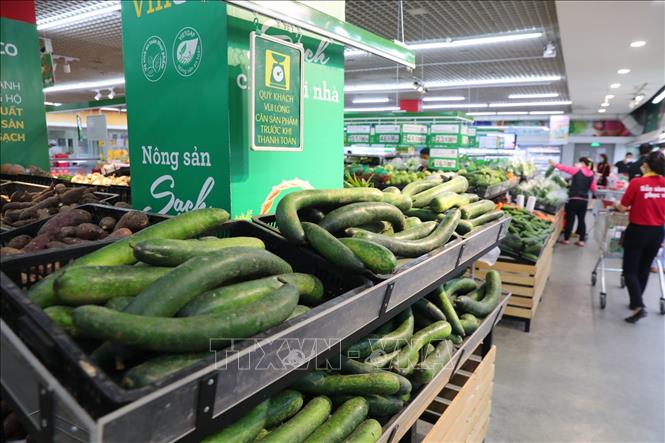 Trong ảnh: Tại các siêu thị Vinmart các mặt hàng thiết yếu như rau xanh, thực phẩm tươi, mỳ tôm... cũng được đảm bảo cung ứng đủ. Ảnh: Thành Đạt - TTXVN