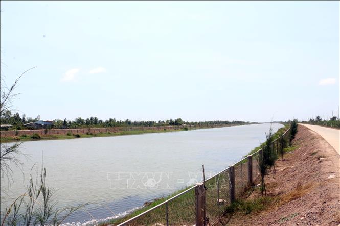 Trong ảnh: Hồ chứa nước ngọt huyện Ba Tri có sức chứa khoảng 1 triệu m3 nước hiện đã bị nhiễm mặn. Ảnh: Trần Thị Thu Hiền - TTXVN