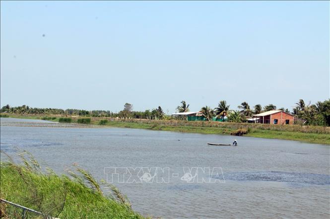 Trong ảnh: Khả năng khoảng 1 tháng nữa nguồn nước trong hồ chứa nước ngọt huyện Ba Tri sẽ cạn. Ảnh: Trần Thị Thu Hiền - TTXVN