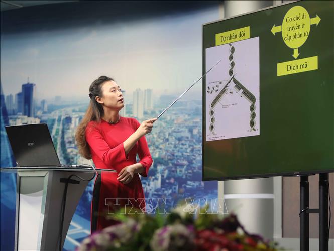 Trong ảnh: Các bài giảng trên truyền hình là các bài tiếp nối trong chương trình lớp 9 và lớp 12 năm học 2019 - 2020 do các giáo viên giàu kinh nghiệm và có chuyên môn cao giảng dạy, góp phần củng cố kiến thức, kỹ năng cho học sinh trước các kỳ thi tuyển sinh và tốt nghiệp Trung học phổ thông quốc gia năm học 2019 - 2020. Ảnh: Thanh Tùng-TTXVN