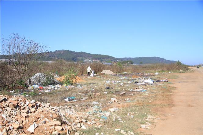 Trong ảnh: Tình trạng chăn thả trâu bò, đổ phân bón, đất trộn dùng cho nông nghiệp tràn lan cả đường bay. Ảnh: Đặng Tuấn –TTXVN  

