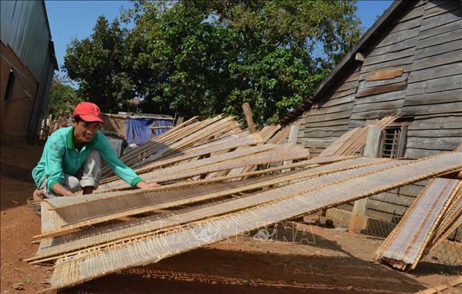 Trong ảnh: Người dân phơi bánh tráng thành phẩm. Ảnh: Tuấn Anh - TTXVN