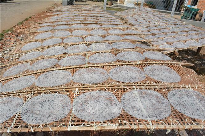 Trong ảnh: Phơi bánh tráng thành phẩm. Ảnh: Tuấn Anh - TTXVN