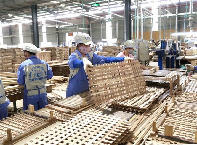 Photo: A production line at the Woodsland Joint-stock Company in the northern province of Tuyen Quang. VNA Photo: Vũ Sinh 