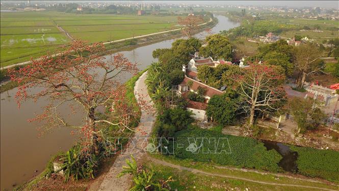 Photo: Bombax ceiba trees have a strong attachment to people in rural areas. VNA Photo: Minh Đức