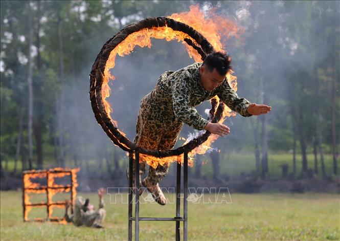 Trong ảnh: Chiến sĩ đặc công huấn luyện vượt vòng lửa. Ảnh: Dương Giang - TTXVN