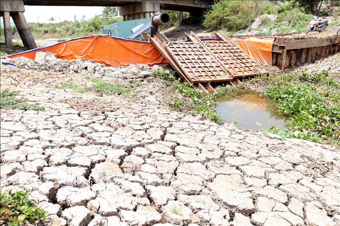 Trong ảnh: Trạm bơm dã chiến dùng bơm nước ngọt phục vụ sản xuất ở xã Long Hòa, thị xã Gò Công đã không hoạt động được tử nhiều ngày nay. Ảnh: Vũ Sinh - TTXVN