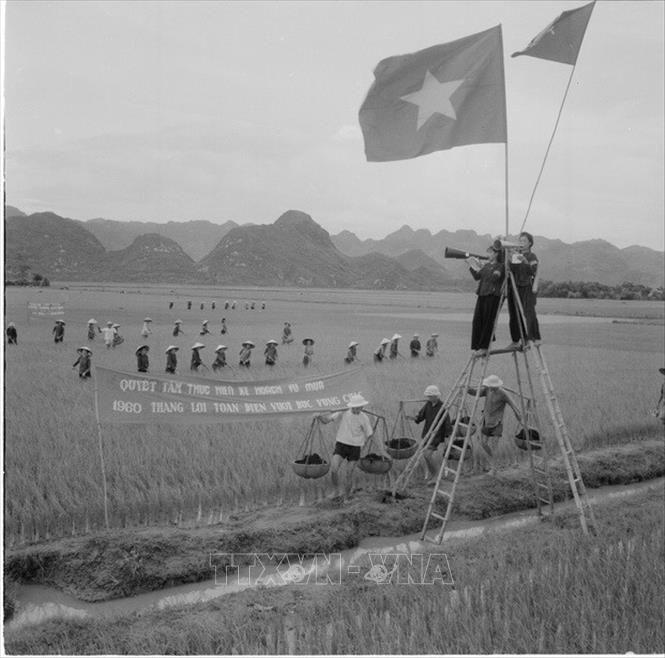 Trong ảnh: 