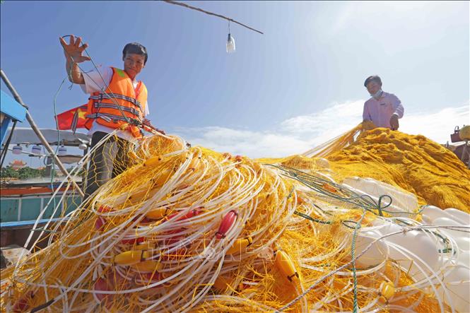 Trong ảnh: Huyện đảo Lý Sơn (Quảng Ngãi) hiện có 2.220 hộ được vay vốn ưu đãi, góp phần giảm nghèo, tạo việc làm và đảm bảo an sinh xã hội tại địa bàn. Ảnh: Trần Việt - TTXVN