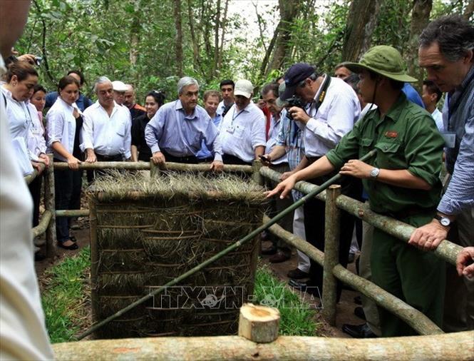 Trong ảnh: Trong chuyến thăm chính thức Việt Nam, ngày 24/3/2012, Tổng thống Chile Sebastian Pinera Echenique đến thăm khu di tích Địa đạo Củ Chi (Tp. Hồ Chí Minh). Ảnh: Thanh Vũ - TTXVN