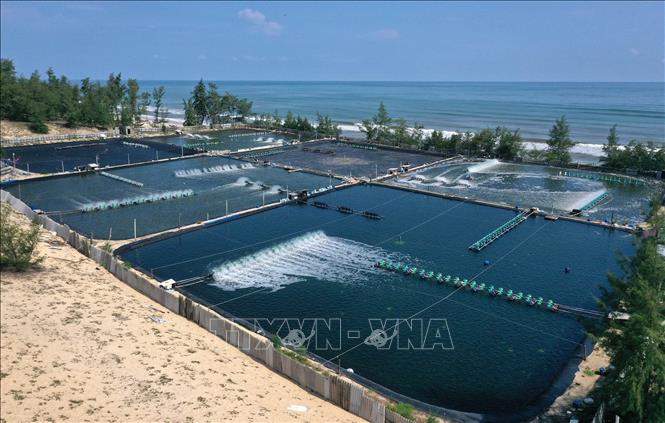 Tỉnh Thừa Thiên-Huế hiện có trên 7.000 ha mặt nước được đưa vào nuôi trồng thủy sản, trong đó diện tích nuôi nước lợ 5.000 ha, còn lại nuôi nước ngọt. Trong ảnh: Nuôi tôm trên cát ở huyện Quảng Điền. Ảnh: Hồ Cầu - TTXVN