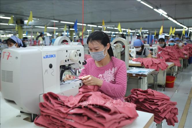 Trong ảnh: Sản xuất hàng may mặc xuất khẩu tại Công ty Cổ phần Tiên Hưng (Hưng Yên). Ảnh: Danh Lam – TTXVN