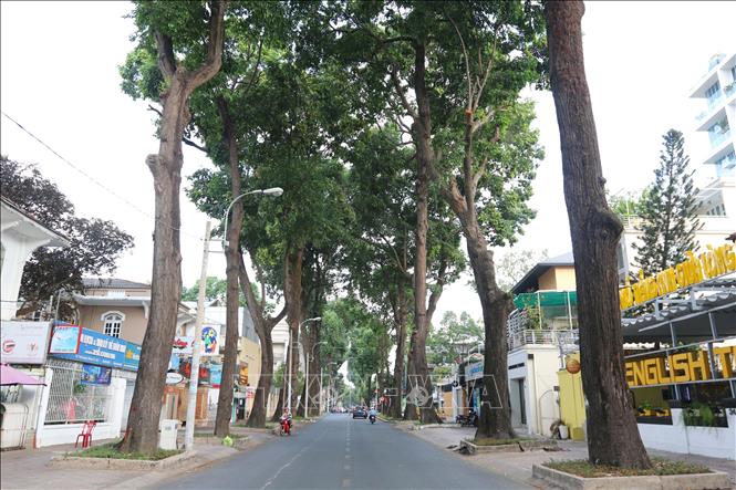 Trong ảnh: Đường Trần Quốc Thảo, Quận 3 giờ đây vắng bóng người và cả phương tiện giao thông. Ảnh: Thanh Vũ – TTXVN

