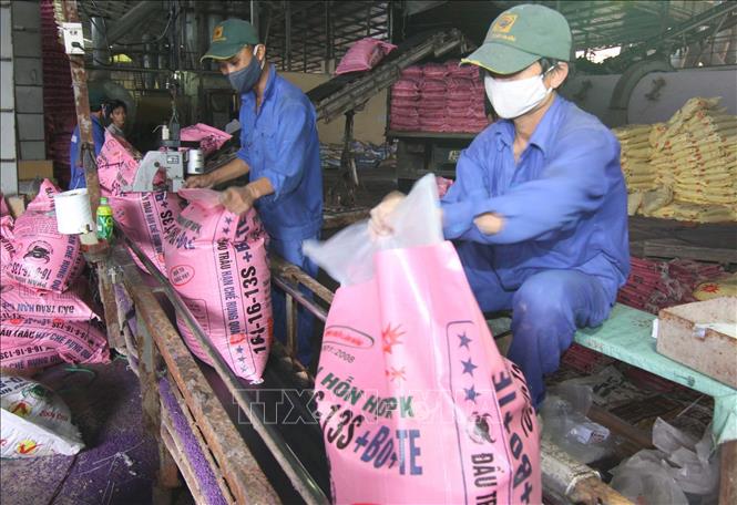 Trong ảnh: Dây chuyền đóng bao sản phẩm phân bón NPK hỗn hợp tại nhà máy của Công ty Cổ phần Bình Điền (Lâm Đồng). Ảnh: Vũ Sinh - TTXVN