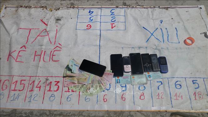 Trong ảnh: Tang vật bị cơ quan chức năng thu giữ. Ảnh: Công Mạo-TTXVN