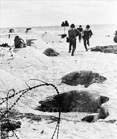 Trong ảnh: Lực lượng Đặc công hải quân Đoàn 126 tấn công giải phóng đảo Sơn Ca, quần đảo Trường Sa, ngày 25/4/1975. Ảnh: Lê Nhật - TTXVN phát
