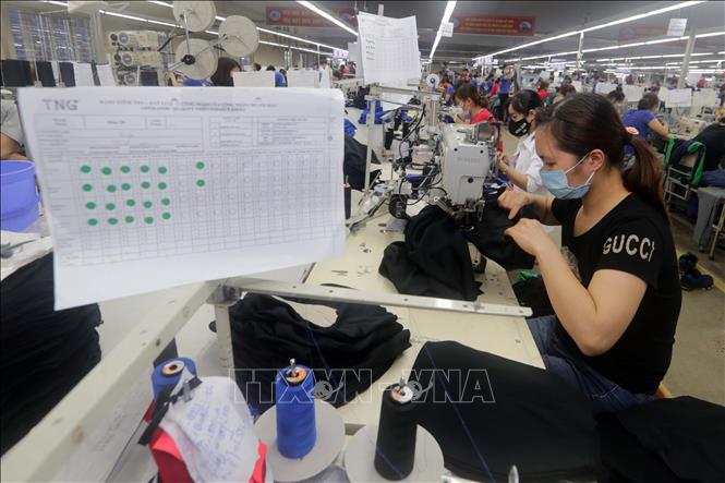 Trong ảnh: May quần áo xuất khẩu tại Chi nhánh May Đại Từ. Ảnh: Trần Việt – TTXVN