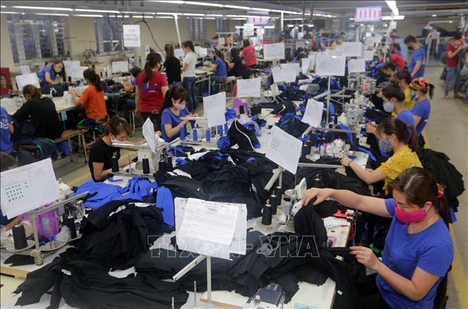 Trong ảnh: May quần áo xuất khẩu tại Chi nhánh May Đại Từ. Ảnh: Trần Việt – TTXVN
