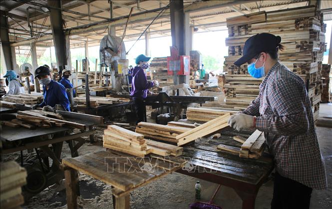 Trong ảnh: Chế biến gỗ trong Khu công nghiệp Cam Thành, huyện Cam Lộ. Ảnh: Hồ Cầu-TTXVN