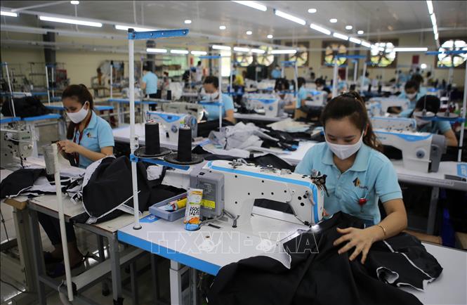 Trong ảnh: May hàng xuất khẩu của Công ty may Tân Định trong Khu công nghiệp Cam Thành, huyện Cam Lộ. Ảnh: Hồ Cầu-TTXVN