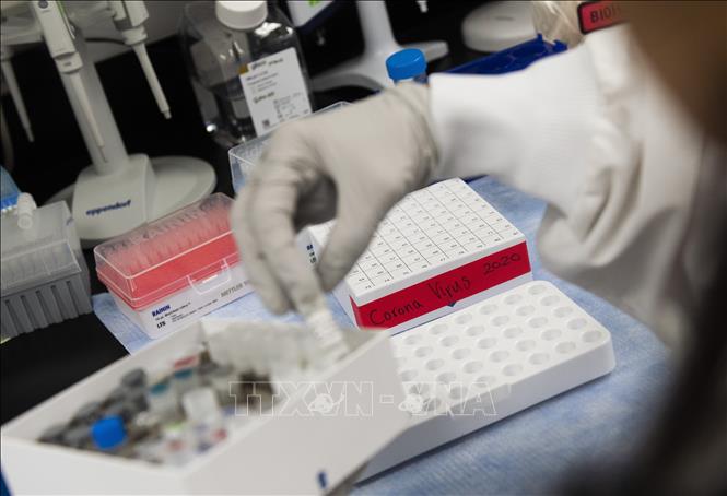 Trong ảnh: Vaccine phòng COVID-19 tại phòng thí nghiệm của tập đoàn Novavax ở Rockville, bang Maryland,Mỹ, ngày 20/3/2020. Ảnh: AFP/TTXVN