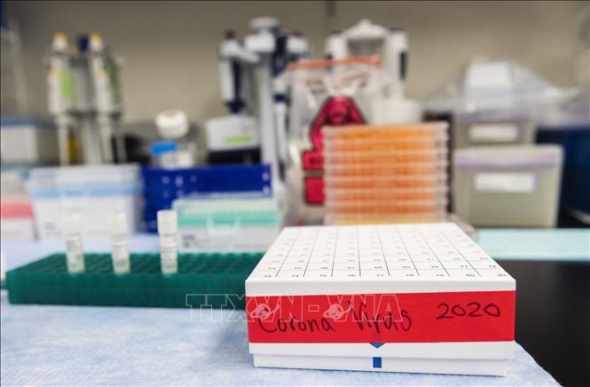 Trong ảnh: Vaccine phòng COVID-19 tại phòng thí nghiệm của tập đoàn Novavax ở Rockville, bang Maryland,Mỹ, ngày 20/3/2020. Ảnh: AFP/TTXVN