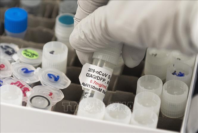 Trong ảnh: Vaccine phòng COVID-19 tại phòng thí nghiệm của tập đoàn Novavax ở Rockville, bang Maryland,Mỹ, ngày 20/3/2020. Ảnh: AFP/TTXVN
