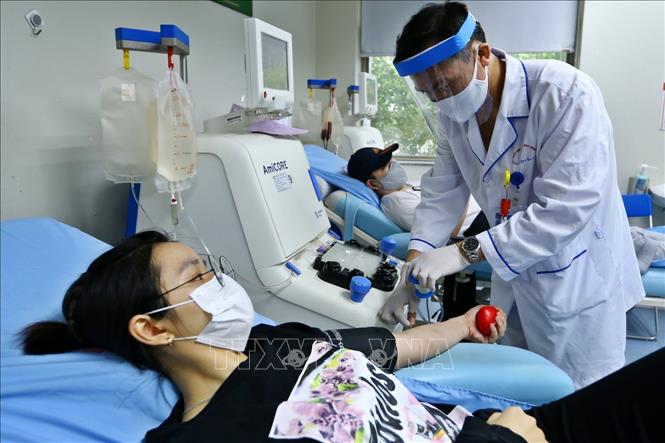 Trong ảnh: Người dân đến hiến tiểu cầu tại Viện Huyết học – Truyền máu Trung ương. Ảnh: Minh Quyết – TTXVN