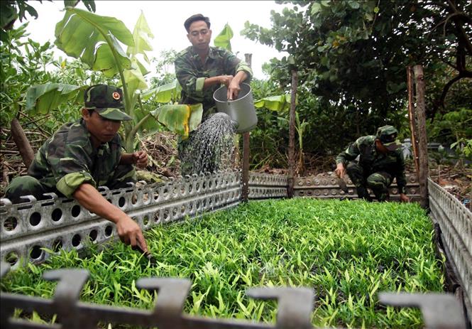Trong ảnh: Chiến sĩ Trường Sa phát triển phong trào tăng gia sản xuất để cải thiện bữa ăn, đảm bảo sức khỏe phục vụ luyện tập, sẵn sàng chiến đấu. Ảnh: Hoàng Hùng - TTXVN