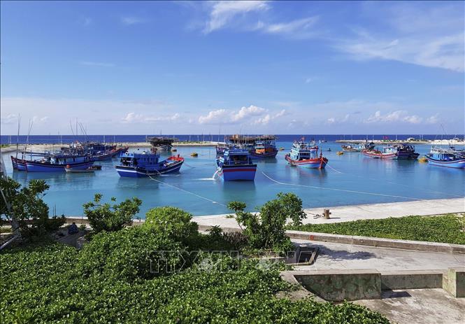 Trong ảnh: Tàu cá của ngư dân vào neo đậu tránh trú bão ở âu tàu Sinh Tồn, huyện đảo Trường Sa. Ảnh: TTXVN phát