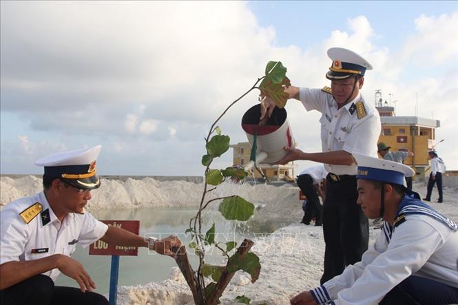 Trong ảnh: Trồng cây xanh trên đảo Đá Tây A. Ảnh: Đoàn Hữu Trung - TTXVN