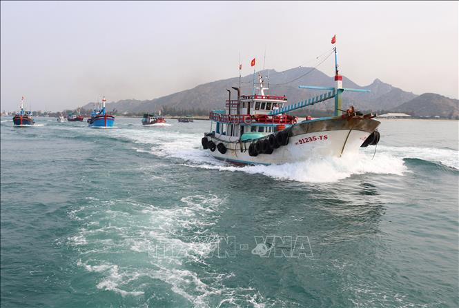Trong ảnh: Đội tàu cá tỉnh Ninh Thuận vươn khơi khai thác hải sản. Ảnh: Nguyễn Thành - TTXVN