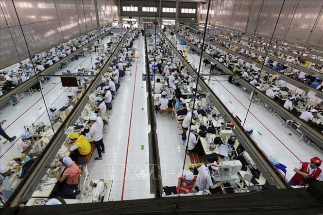 Trong ảnh: Sản xuất hàng may mặc xuất khẩu tại Công ty TNHH May Tiến Thuận (Ninh Thuận). Ảnh: Danh Lam – TTXVN
