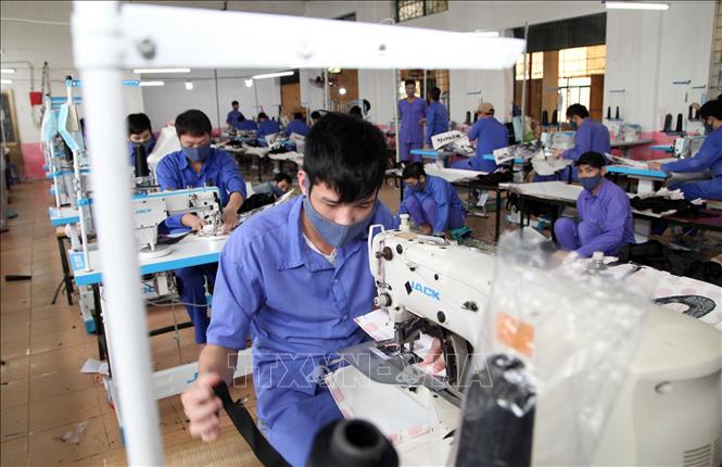 Trong ảnh: Các học viên đang cai nghiện tại Cơ sở cai nghiện ma túy số 2 Hà Nội đều đeo khẩu khang đầy đủ khi lao động trị liệu. Ảnh: Anh Tuấn – TTXVN