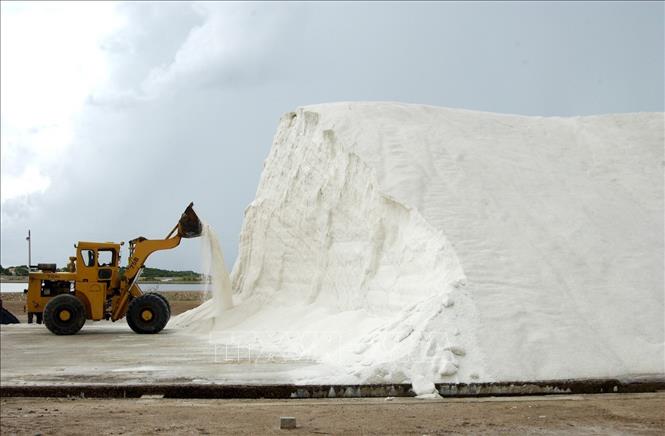 Trong ảnh: Công ty Cổ phần muối Vĩnh Hảo, huyện Tuy Phong, tỉnh Bình Thuận chuyên sản xuất muối các loại muối công nghiệp, muối nguyên liệu cho ngành hoá chất cơ bản, chế biến thuỷ sản, công nghiệp thực phẩm và các ngành kinh tế khác. Ảnh : Anh Tuấn - TTXVN