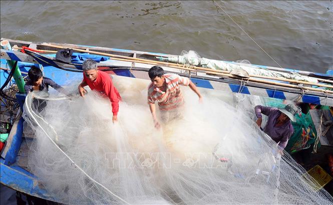 Trong ảnh: Chuẩn bị ngư lưới cụ cho chuyến vươn khơi bám biển của một tổ đoàn kết khai thác trên biển, tại cảng cá Phan Thiết, thành phố Phan Thiết (Bình Thuận). Ảnh: Quang Quyết - TTXVN