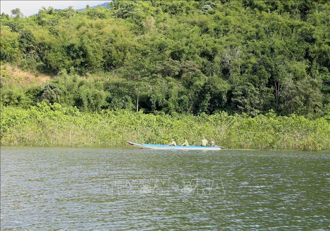 Photo: Forest rangers patrol the Ta Dung National Park in the Highlands of Dak Nong. VNA Photo: Vũ Sinh