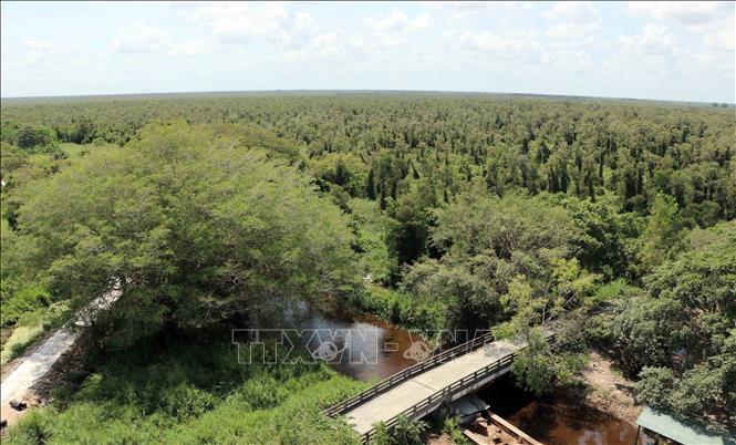 Photo: A view of U Minh Ha National Park in the southern province of Ca Mau. VNA Photo: Huỳnh Thế Anh