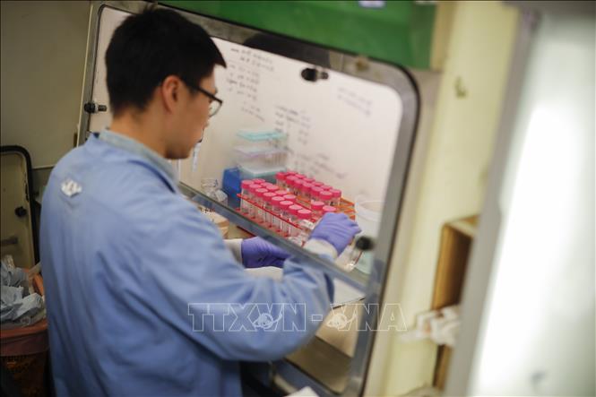 Trong ảnh: Nghiên cứu vaccine phòng COVID-19 tại Trường Đại học Y khoa Hoàng gia ở London, Anh ngày 10/2/2020. Ảnh: AFP/TTXVN