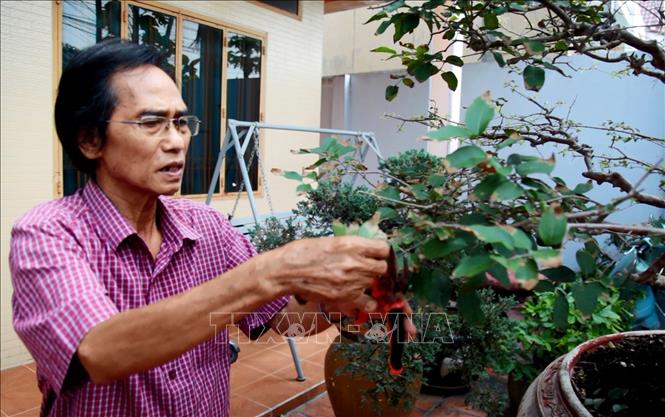 Trong ảnh: Nguyên phóng viên chiến trường TTXVN Lê Nam Thắng chăm sóc hoa cảnh. Ảnh: Hồng Đạt - TTXVN
