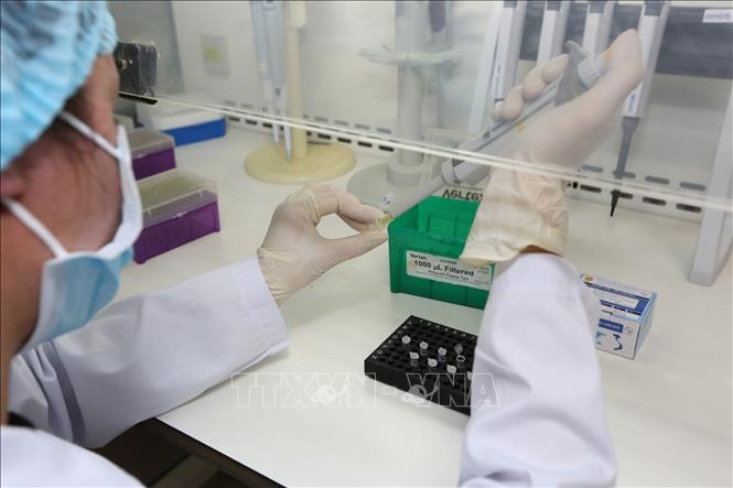 Trong ảnh: Test xác định virus SARS-CoV-2. Ảnh: Dương Giang - TTXVN


