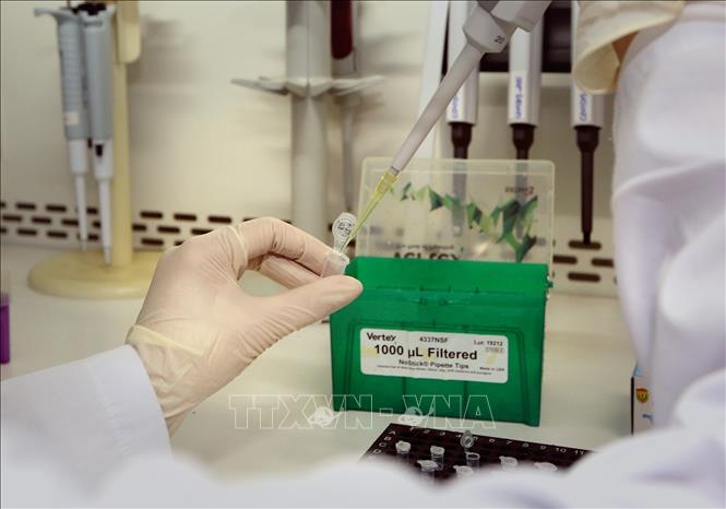 Trong ảnh: Test xác định virus SARS-CoV-2. Ảnh: Dương Giang - TTXVN

