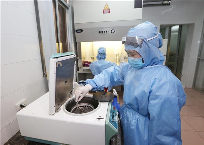 Trong ảnh: Các nhân viên y tế Viện nghiên cứu Y dược học quân sự (Học viện Quân y) tách mẫu sinh phẩm để xác định virus SARS-CoV-2. Ảnh: Dương Giang - TTXVN

