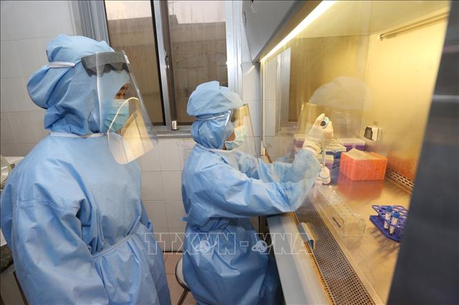 Trong ảnh: Các nhà khoa học Viện nghiên cứu Y dược học quân sự (Học viện Quân y) tách mẫu sinh phẩm để xác định virus SARS-CoV-2. Ảnh: Dương Giang - TTXVN

