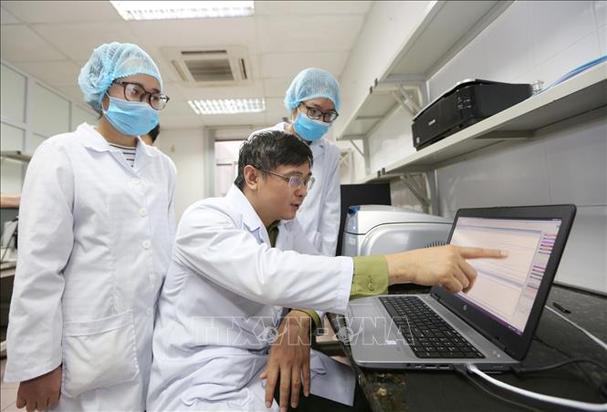 Trong ảnh: Tiến sĩ, bác sĩ Hoàng Xuân Sử, Trưởng phòng Vi sinh và các mầm bệnh - Viện Nghiên cứu Y dược học quân sự (Học viện Quân y) đánh giá kết quả phân tích độ nhạy để xác định ngưỡng phát hiện virus SARS-CoV-2. Ảnh: Dương Giang - TTXVN

