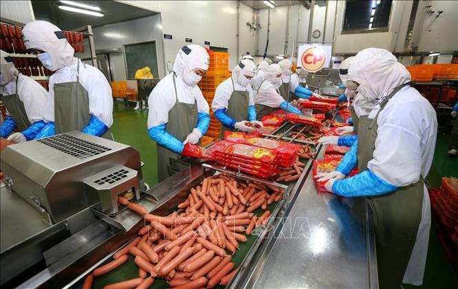 Trong ảnh: Công nhân chế biến thực phẩm tại Nhà máy chế biến sản phẩm thịt khép kín (Công ty Cổ phần Chăn nuôi C.P Việt Nam). Ảnh: Danh Lam – TTXVN