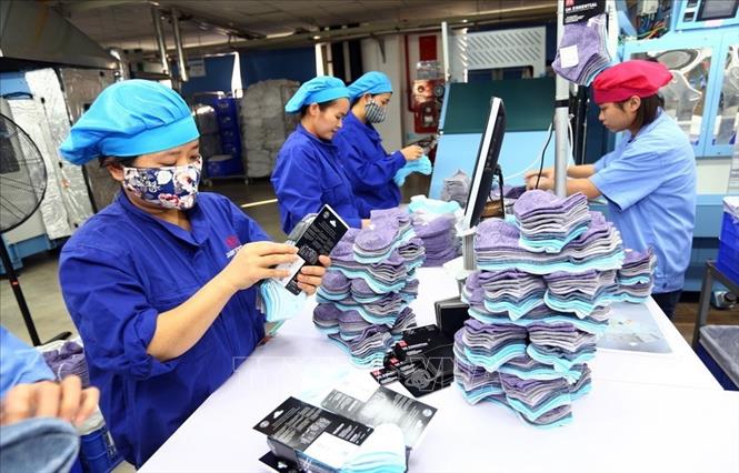 Trong ảnh: Công nhân sản xuất tất xuất khẩu tại Công ty TNHH Jasan Việt Nam, tại Khu công nghiệp VSIP, Hải Phòng. Ảnh: Danh Lam – TTXVN