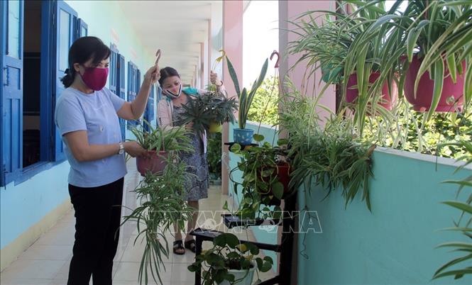 Trong ảnh: Giáo viên trường Tiểu học Lạc Long Quân sắp xếp các giỏ cây để tạo không gian cho lớp học. Ảnh: Xuân Triệu - TTXVN