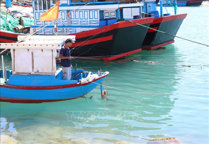 Trong ảnh: Hoạt động câu cá giải trí ở Đầm Nại. Ảnh: Nguyễn Thành – TTXVN